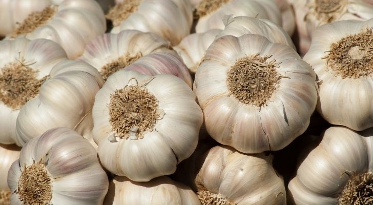 Freeze Dried Garlic