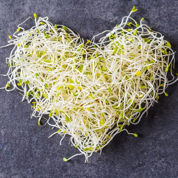 Freeze Dried Alfalfa&nbsp;sprouts