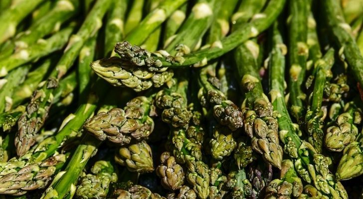 Freeze Dried Asparagus
