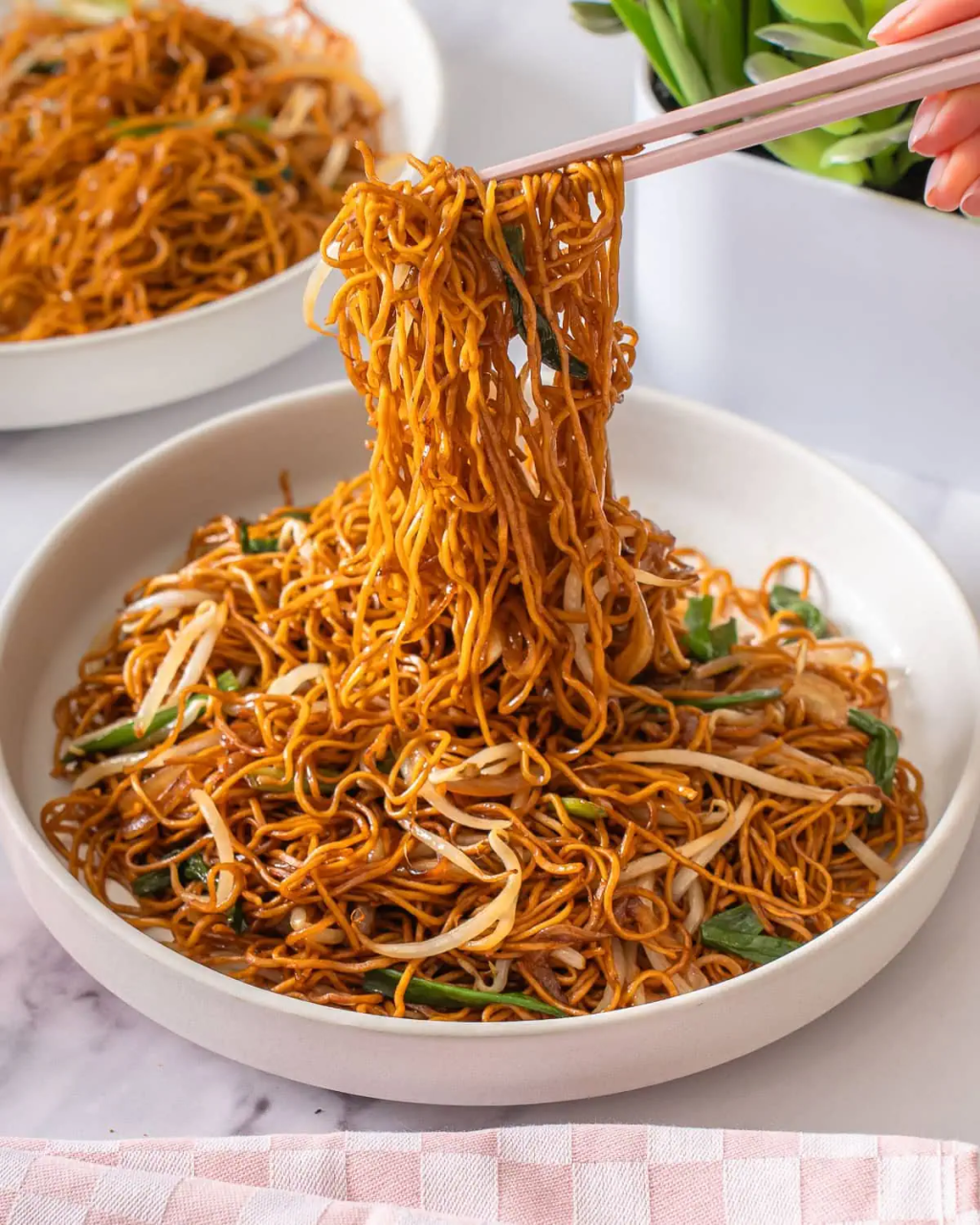 Freeze Dried Cantonese Chow Mein