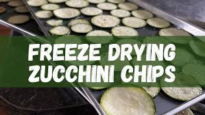 Freeze Dried Zucchini
