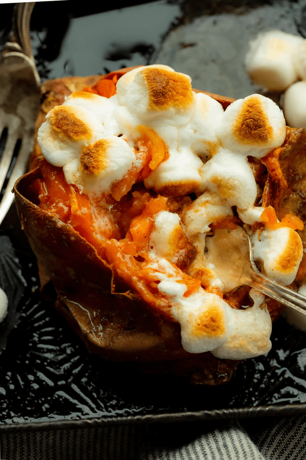 Freeze Dried Texas Roadhouse Loaded Sweet&nbsp;Potato